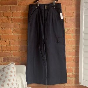 ANTHROPOLOGIE ✨ Cargo pants from PILCRO